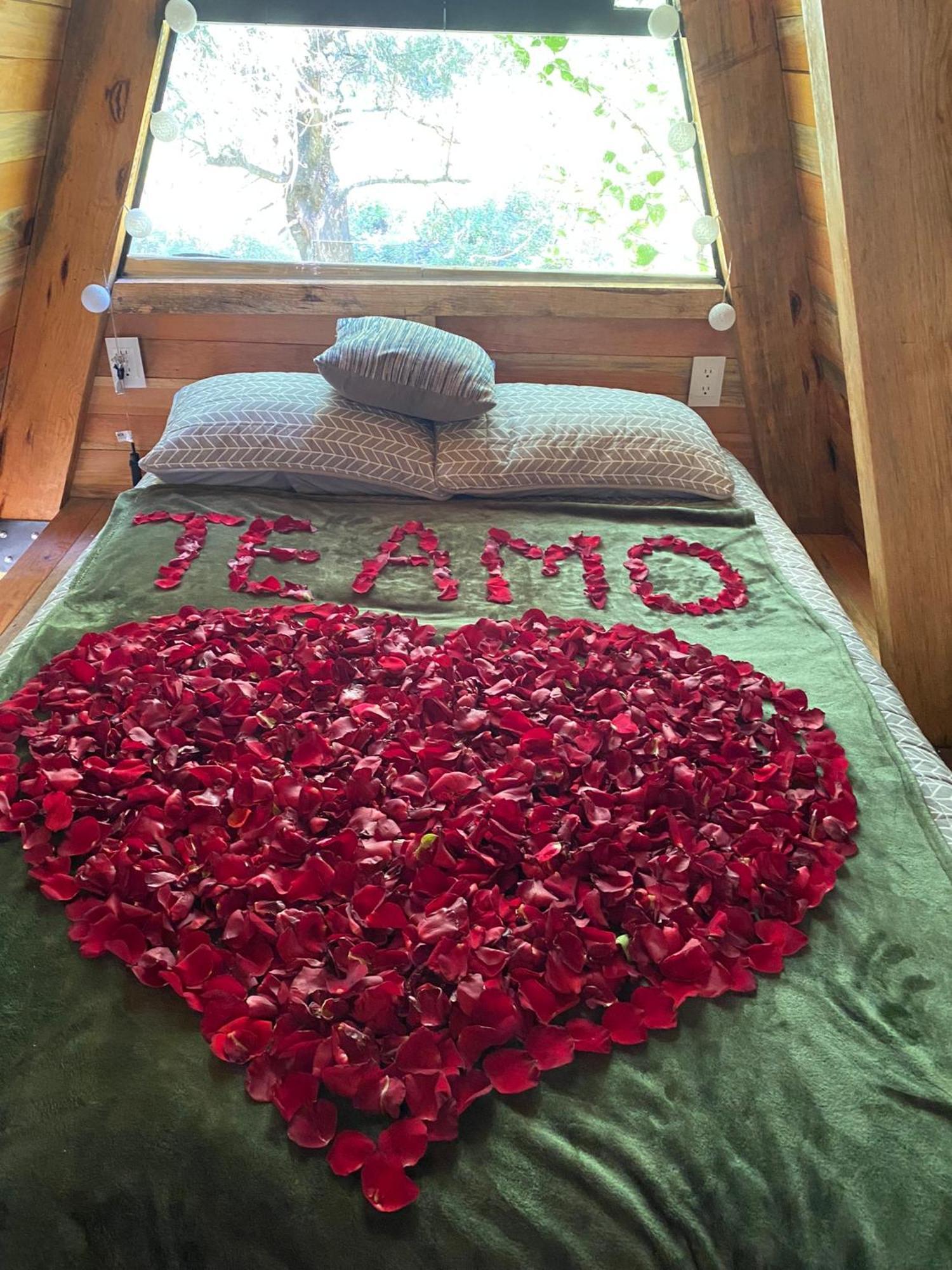 Cabanas Alpina, Romantica Y Acogedora A 10 Minutos Del Centro Tepoztlan Bagian luar foto
