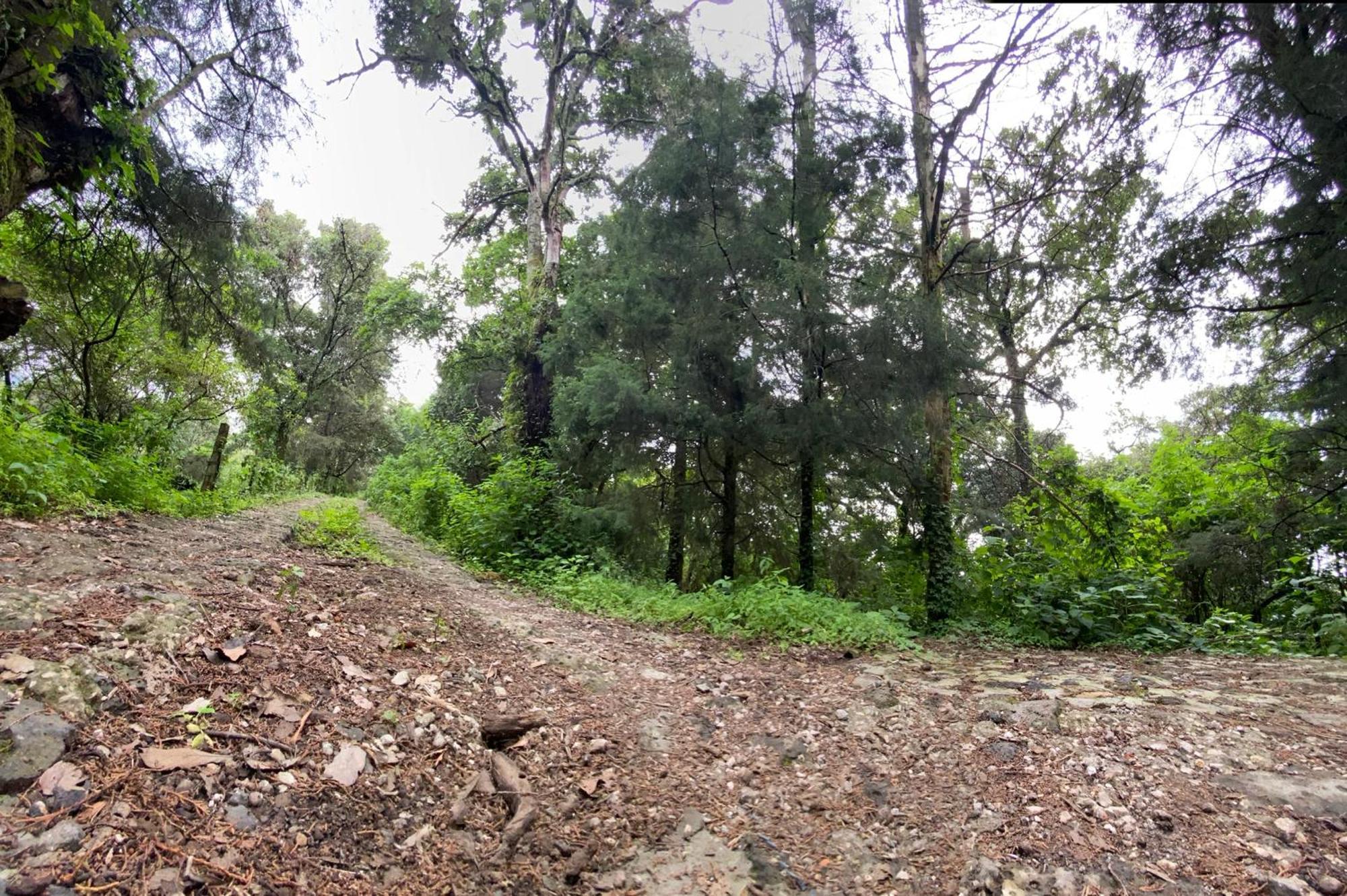 Cabanas Alpina, Romantica Y Acogedora A 10 Minutos Del Centro Tepoztlan Bagian luar foto