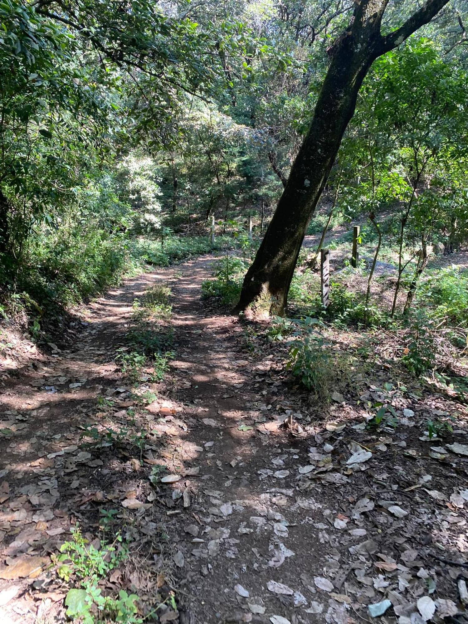 Cabanas Alpina, Romantica Y Acogedora A 10 Minutos Del Centro Tepoztlan Bagian luar foto